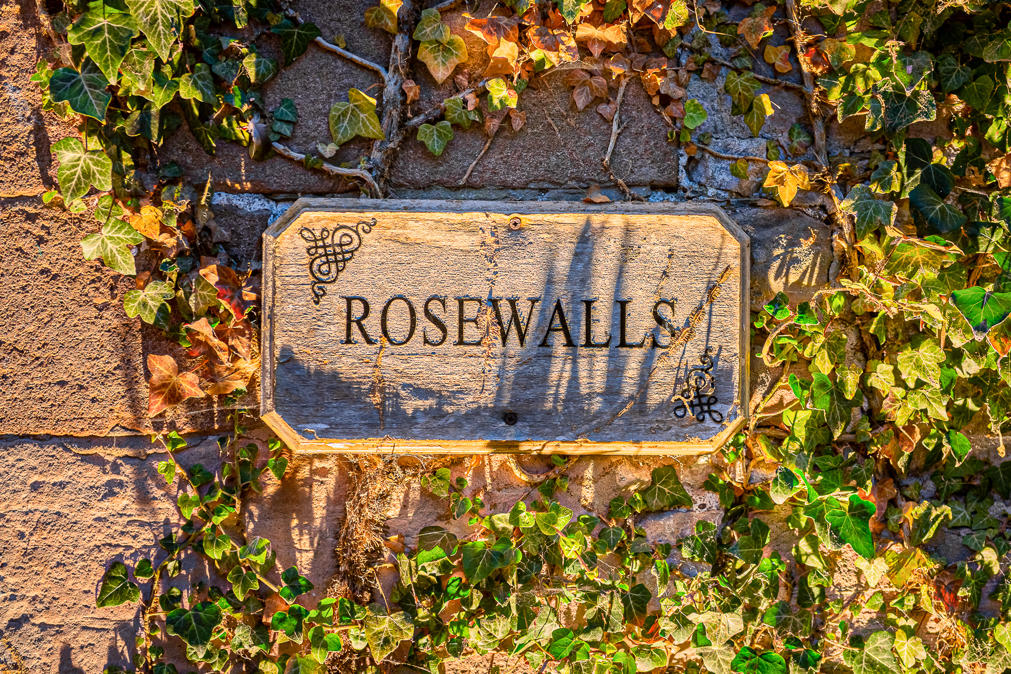 Rosewalls Twilight_Web-5